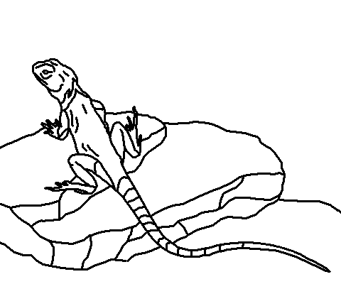 lagarto para niños